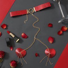 Пестис-сердечка з ланцюжками та чокером JSY Nipple Sticker RT236114 Red SO9280 фото