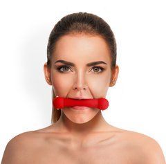 Кляп-палиця на ременях Art of Sex &ndash; Gag Stick Silicon, червоний, натуральна шкіра SO6704 фото