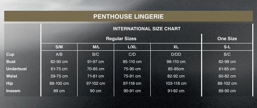 Комплект Penthouse Smoking Gun S/L Black, топ-бюстьє, колготки з доступом, імітація пояса для панчіх SO6451 фото